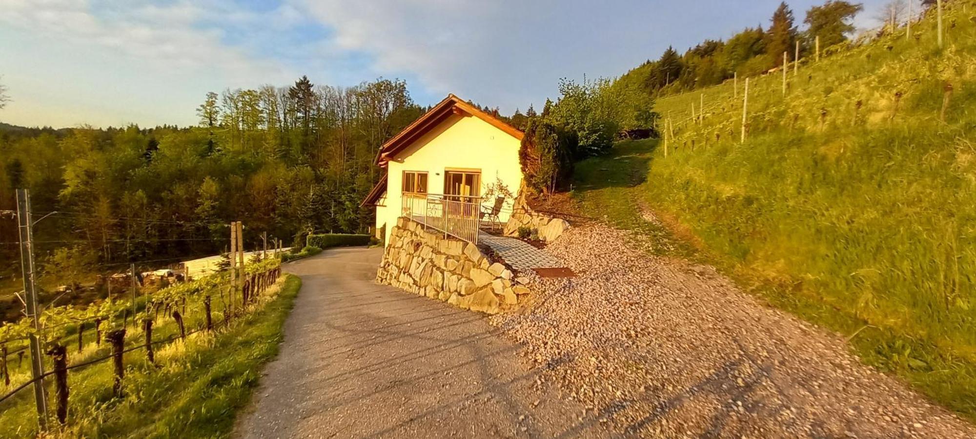 Schwarzwaldglueck Apartment Oberkirch  Exterior foto